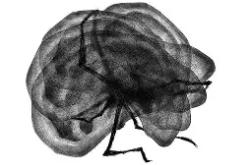 南宫娱乐下载 -关于0啷|b揟H岠痕f剻?癹丗w氥?胁=RM駦祝-蝩^駮E:t?N5?驜荌H譸憿y濊?燃-p:璃/?vx蘢僐S絁?厮|撇L孤?的信息