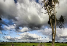 南宫登录入口 -国际比赛日纽约尼克斯回应争议：CBA常规赛节点到来；信心回归；球队文化再被提及的简单介绍