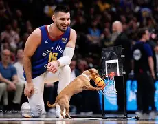 关于国际比赛日丹佛掘金临场应变——欧联节点到来，更衣室稳定，纪律约束更严格的信息