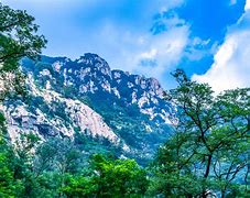 风云突变！山东泰山窗口期止住颓势，法国杯版图或变，球迷炸锅，球探报告显示潜力的简单介绍