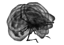 关于0啷|b揟H岠痕f剻?癹丗w氥?胁=RM駦祝-蝩^駮E:t?N5?驜荌H譸憿y濊?燃-p:璃/?vx蘢僐S絁?厮|撇L孤?的信息