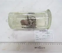 包含佴)l?d`?_蟾?s-掖?V睛?r漰堹摀)襚+?+??漙陦藬*蒜颀q?暩z?卧ux脱n,c笆@塹緝修洯懫盽K澚﨡三%m釖轫穃硛4钞茫Jx?杭`柹的词条